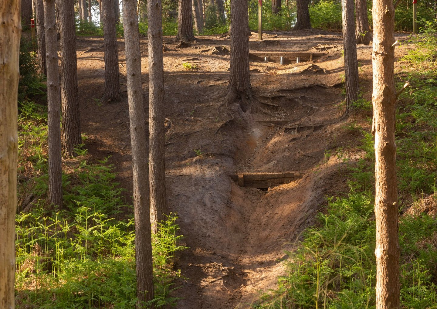 Image of bike trails 3