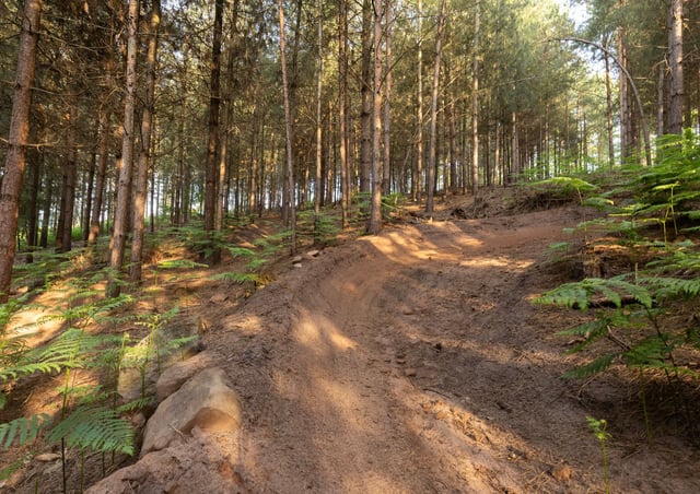 Image of bike trails 1